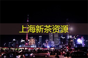 上海龙凤419：上海工作室带你开启创业新时代！困境中寻找机遇！