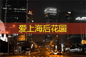 上海娱乐网：在黄浦江感受夜游的舒心与愉悦